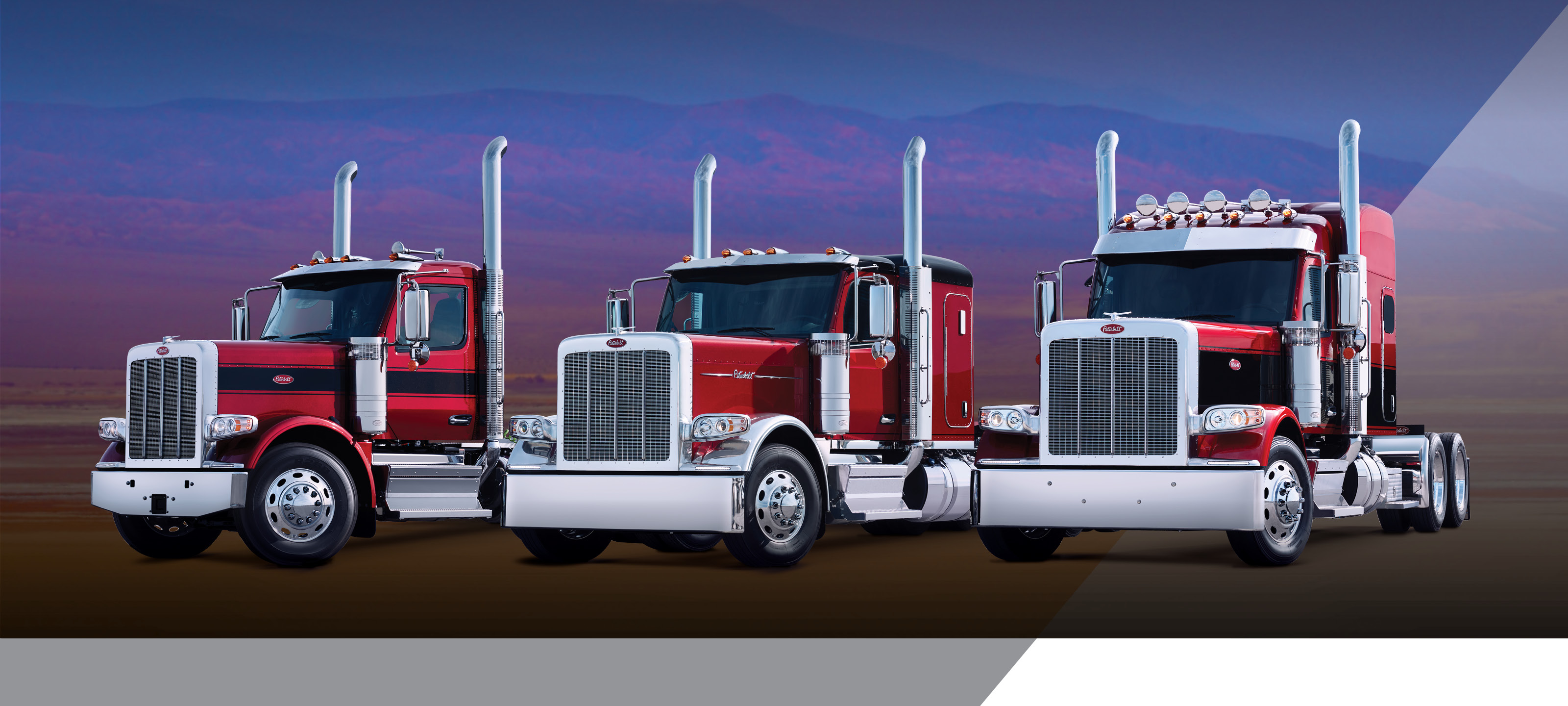 Lineup of three Peterbilt Model 589 with different cab styles