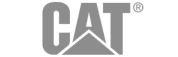 CAT Logo Grey