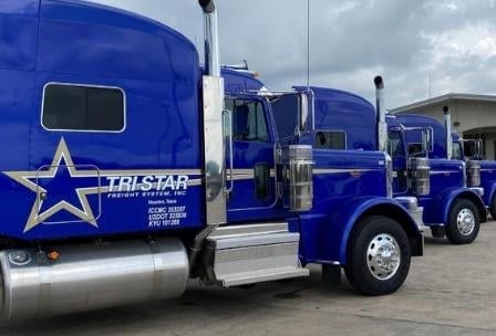 Fleet of trucks with graphic decals on the side