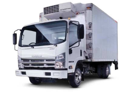 White Isuzu refrigerator truck | Reefer truck | reefer trucks for sale | Refrigerated Truck