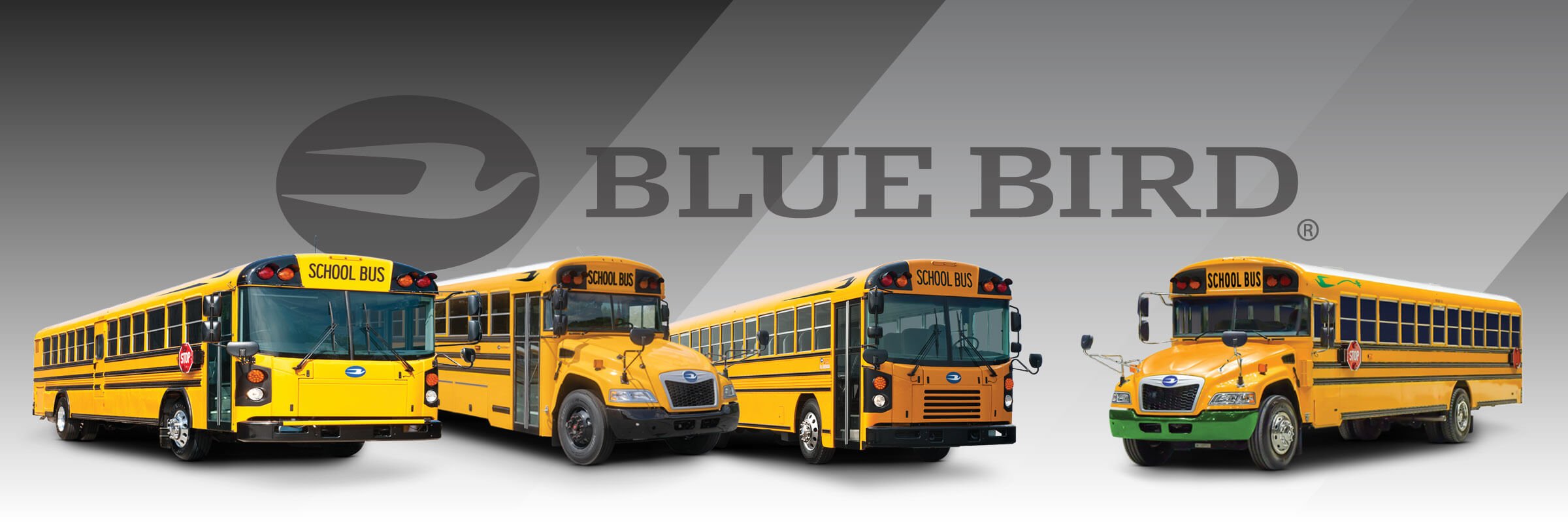 Line up of Blue Bird school buses