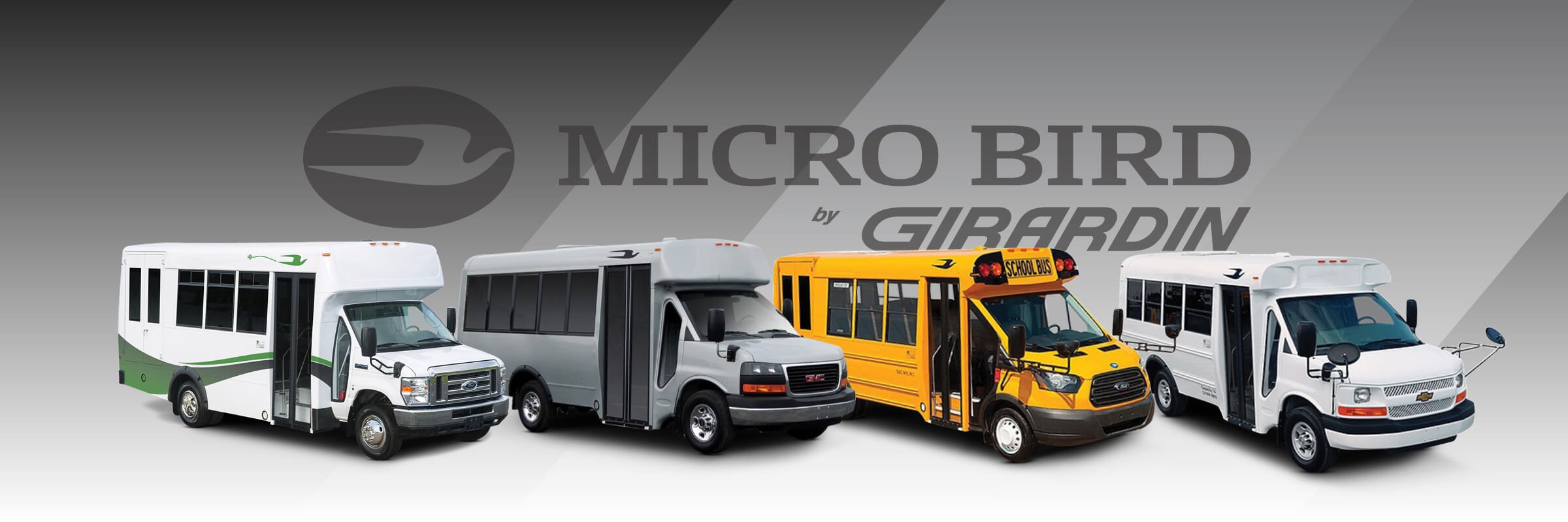 Line up of Micro Bird Type A buses