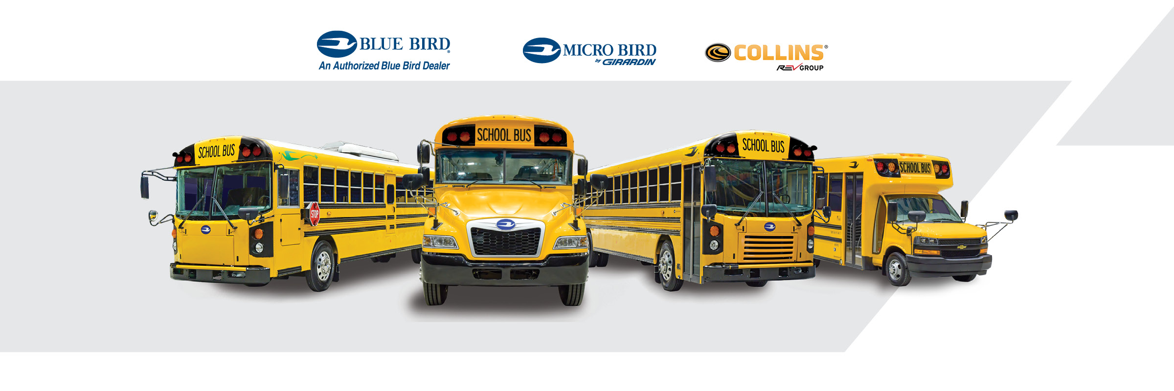 Blue Bird, Micro Bird and Collins buses with brand logos
